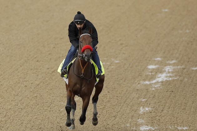 Exercise rider Jonny Garcia rides Kentucky Derby hopeful Nyquist during a workout at Churchill Downs Thursday, May 5, 2016, in Louisville, Ky. The 142nd running of the Kentucky Derby is scheduled for Saturday, May 7. (AP Photo/Charlie Riedel)