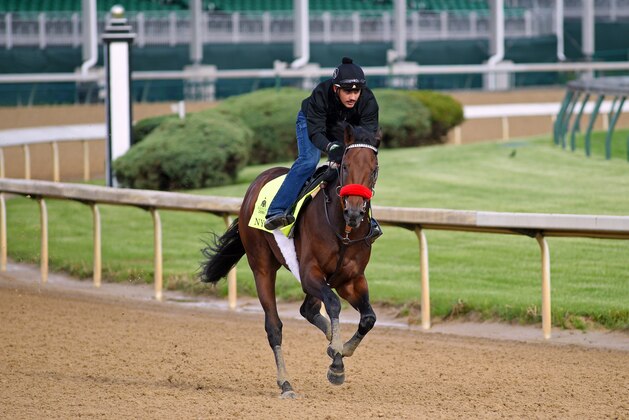 LOUISVILLE, KY - MAY 5: Kentucky Derby contender Nyquist gallops at Churchill Downs Race Track on May 5, 2016 at Churchill Downs, Louisville(Photo by Horsephotos/Getty Images)