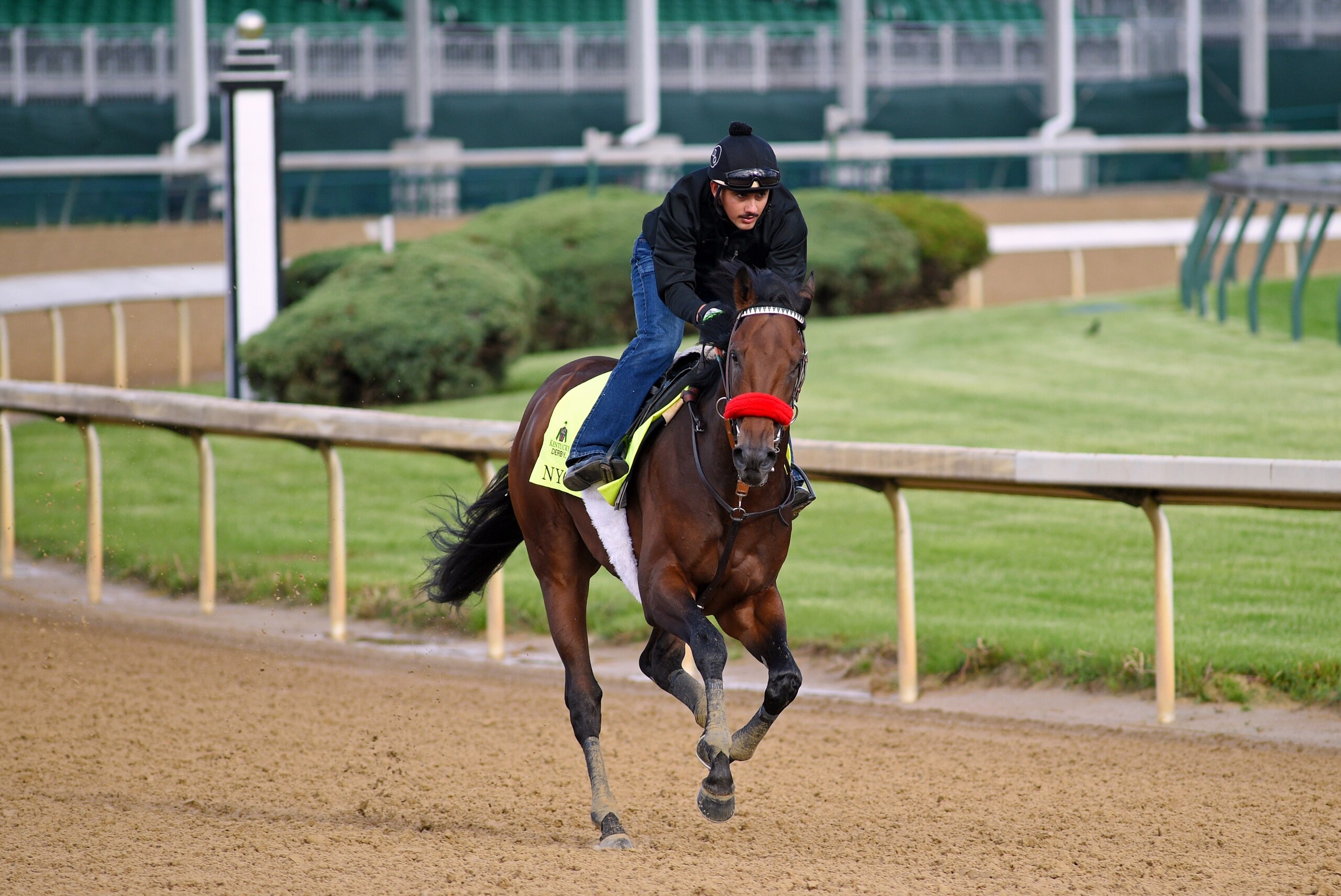 LOUISVILLE, KY - MAY 5: Kentucky Derby contender Nyquist gallops at Churchill Downs Race Track on May 5, 2016 at Churchill Downs, Louisville(Photo by Horsephotos/Getty Images)