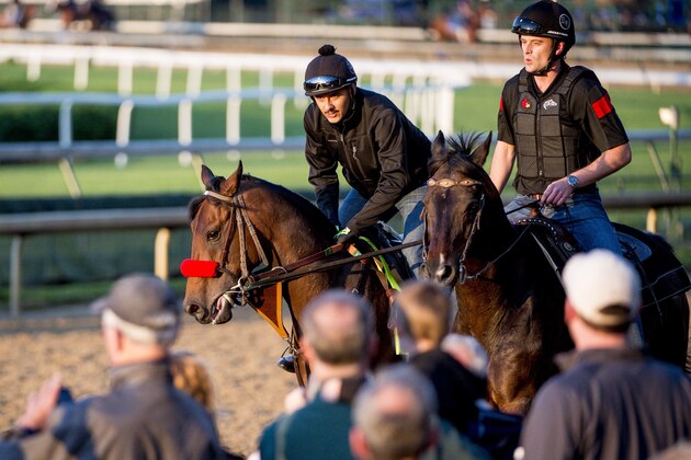 LOUISVILLE, KY - MAY 04: Nyquist, ridden by exercise rider Jonny Garcia, trained by Doug O'Neill and owned by Reddam Racing LLC, exercises and prepares during morning workouts for the Kentucky Derby and Kentucky Oaks at Churchill Downs on May 4, 2016 in Louisville, Kentucky. (Photo by John Voorhees/Eclipse Sportswire/Getty Images)