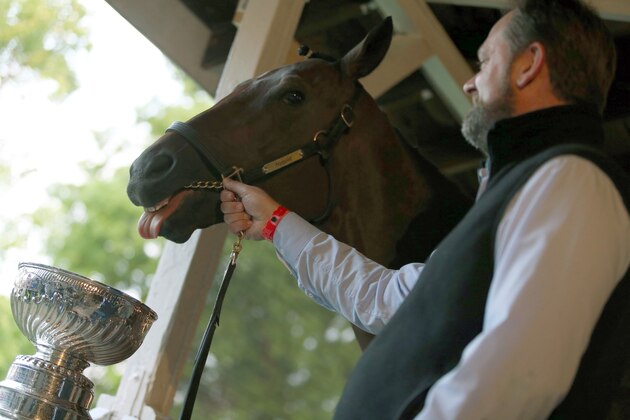 LOUISVILLE, KY - MAY 7: Kentucky Derby favorite Nyquist with trainer Doug O'Neill takes a sip from the Stanley Cup on May 7, 2016 at Churchill Downs, Louisville.  (Photo by Horsephotos/Getty Images)