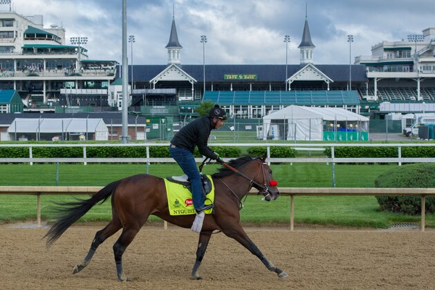 LOUISVILLE, KY - MAY 5: Kentucky Derby contender Nyquist gallops at Churchill Downs Race Track on May 5, 2016 at Churchill Downs, Louisville(Photo by Horsephotos/Getty Images)