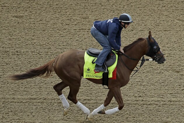 FILE - In this May 4, 2016, file photo, exercise rider Brian O'Leary rides Kentucky Derby hopeful Fellowship during a workout at Churchill Downs in Louisville, Ky. Fellowship, who ran third behind Nyquist in the Florida Derby, is looking for an upset in the Preakness. (AP Photo/Charlie Riedel, File) FILE - In this May 4, 2016, file photo, exercise rider Brian O'Leary rides Kentucky Derby hopeful Fellowship during a workout at Churchill Downs in Louisville, Ky. Fellowship, who ran third behind Nyquist in the Florida Derby, is looking for an upset in the Preakness. (AP Photo/Charlie Riedel, File)