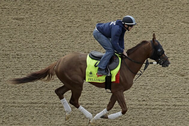 FILE - In this May 4, 2016, file photo, exercise rider Brian O'Leary rides Kentucky Derby hopeful Fellowship during a workout at Churchill Downs in Louisville, Ky. Fellowship, who ran third behind Nyquist in the Florida Derby, is looking for an upset in the Preakness. (AP Photo/Charlie Riedel, File)