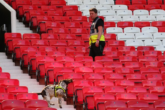 MANCHESTER, ENGLAND - MAY 15:  A sniffer dog patrols the stands as the match is abandoned with fans evacuated from the ground prior to the Barclays Premier League match between Manchester United and AFC Bournemouth at Old Trafford on May 15, 2016 in Manchester, England.  (Photo by Alex Livesey/Getty Images)