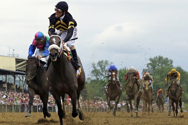 FILE- In this May 18, 2013, file photo, jockey Gary Stevens celebrates aboard Oxbow after winning the 138th Preakness Stakes horse race at Pimlico Race Course in Baltimore. Stevens has ridden in the most Preakness'. (AP Photo/Matt Slocum, File)