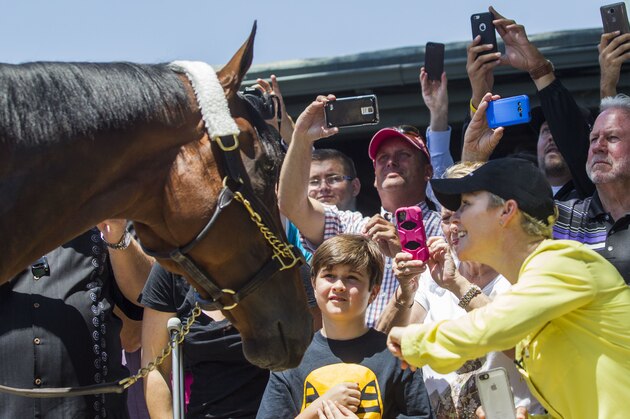 FILE - In this June 18, 2015, file photo, fans take photos and greet Triple Crown winner American Pharoah after the horse arrived at Santa Anita Park in Arcadia, Calif. Happy, healthy and hangin' in his new home, Kentucky Derby winner Nyquist is gearing up for another big race, the Preakness Stakes at Pimlico Race Course in Baltimore next Saturday, May 21st. A victory, and Nyquist would head to the Belmont Stakes in New York three weeks later with a shot at winning the Triple Crown.  (AP Photo/Ringo H.W. Chiu, File)