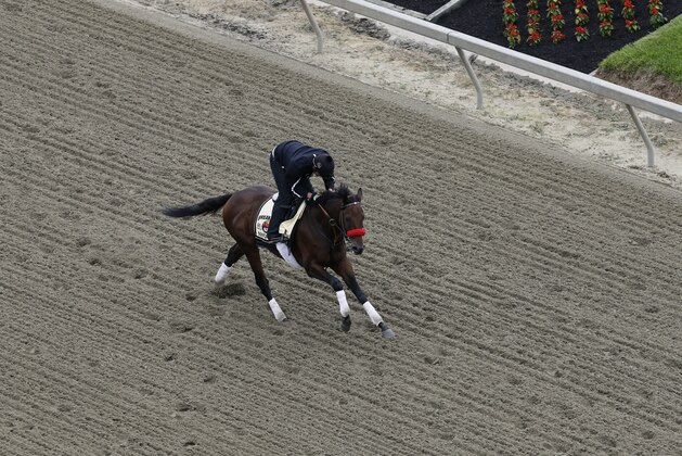 Exercise rider Jonny Garcia rides Kentucky Derby winner Nyquist during a morning workout, Thursday, May 19, 2016, at Pimlico Race Course in Baltimore. The 141st Preakness Horse Race will be held Saturday. (AP Photo/Garry Jones)
