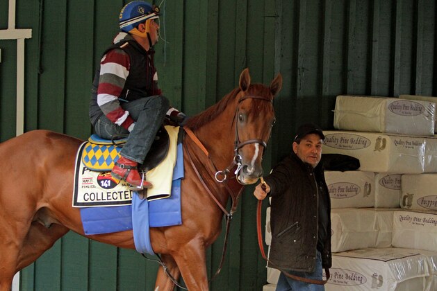 Preakness Stakes hopeful Collected is led to the track for a morning jog by assistant trainer Jimmy Barnes at Pimlico Race Course Wednesday, May 18, 2016, in Baltimore. Exercise rider George Alvarez is in the saddle. The 141st Preakness Stakes is scheduled for Saturday, May 21. (AP Photo/Garry Jones)