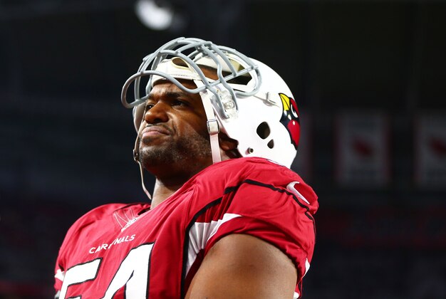 Dec 10, 2015; Glendale, AZ, USA; Arizona Cardinals linebacker Dwight Freeney (54) against the Minnesota Vikings at University of Phoenix Stadium. The Cardinals defeated the Vikings 23-20. Mandatory Credit: Mark J. Rebilas-USA TODAY Sports