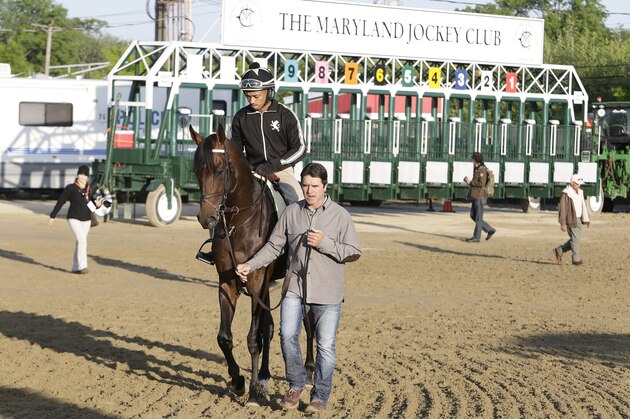 Exaggerator, ridden by exercise rider Peedy Landry, and trainer Keith Desormeaux move toward the track for a workout, at Pimlico Race Course, Friday, May 20, 2016, in Baltimore. The 141st Preakness Stakes horse race is scheduled to take place May 21. (AP Photo/Garry Jones)