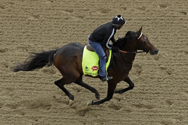 Exercise rider Peedy Landry rides Kentucky Derby hopeful Exaggerator during a workout at Churchill Downs Wednesday, May 4, 2016, in Louisville, Ky. The 142nd running of the Kentucky Derby is scheduled for Saturday, May 7. (AP Photo/Charlie Riedel)