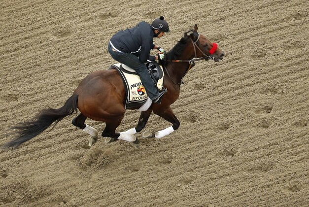 May 19, 2016; Baltimore, MD, USA; Kentucky Derby winner Nyquist runs on the track during a training session in preparation for the 141st Preakness Stakes at Pimlico Race Course. Mandatory Credit: Geoff Burke-USA TODAY Sports