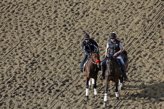 Kentucky Derby winner Nyquist, left, ridden by exercise rider Jonny Garcia, walks alongside an outrider at Pimlico Race Course in Baltimore, Friday, May 20, 2016. The Preakness Stakes horse race is scheduled to take place May 21. (AP Photo/Patrick Semansky)