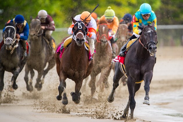 BALTIMORE, MD - MAY 21: Justin Squared #1, ridden by Martin A. Pedroza, leads the field in the fourth turn to win the the Chick Lang Stakes at Pimlico Race Course on May 21, 2016 in Baltimore, Maryland. (Photo by Douglas DeFelice/Eclipse Sportswire/Getty Images)