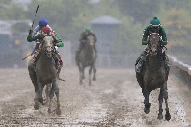 Exaggerator, right, with Kent Desormeaux aboard wins the 141st Preakness Stakes horse race at Pimlico Race Course, Saturday, May 21, 2016, in Baltimore. Cherry Wine, left, with Corey Lanerie aboard places second. (AP Photo/Patrick Semansky) Exaggerator, right, with Kent Desormeaux aboard wins the 141st Preakness Stakes horse race at Pimlico Race Course, Saturday, May 21, 2016, in Baltimore. Cherry Wine, left, with Corey Lanerie aboard places second. (AP Photo/Patrick Semansky)