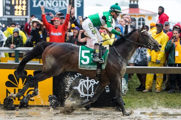 BALTIMORE, MD - MAY 21: Exaggerator #5, ridden by Kent J. Desormeaux, wins the 141st running of the Preakness Stakes at Pimlico Race Course on May 21, 2016 in Baltimore, Maryland. (Photo by Sue Kawczynski/Eclipse Sportswire/Getty Images)
