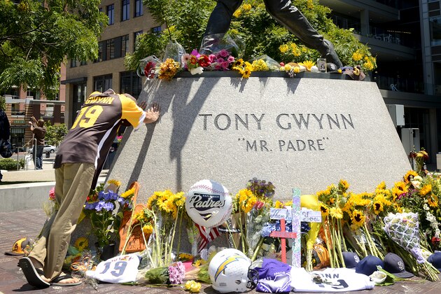 SAN DIEGO, CA - JUNE 16: Fans of the late Tony Gwynn #19 of the San Diego Padres pay tribute to the him at his commemorative statue in the Park at the Park at Petco Park on June 16, 2014 in San Diego, California. (Photo by Andy Hayt/San Diego Padres/Getty Images)