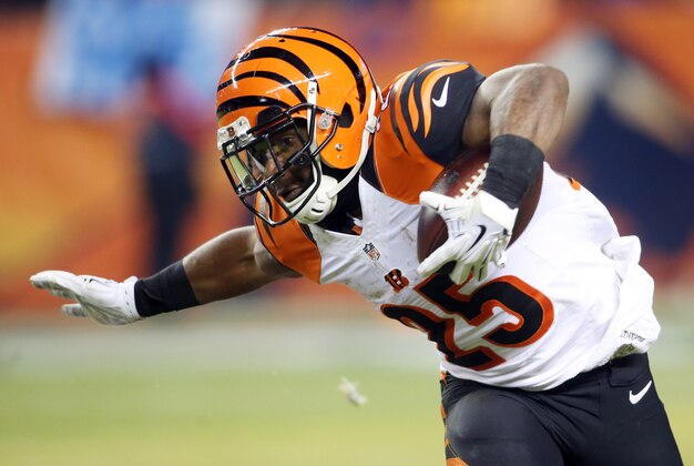 Dec 28, 2015; Denver, CO, USA; Cincinnati Bengals running back Giovani Bernard (25) runs with the ball during the second half against the Denver Broncos at Sports Authority Field at Mile High.  The Broncos won 20-17 in overtime. Mandatory Credit: Chris Humphreys-USA TODAY Sports