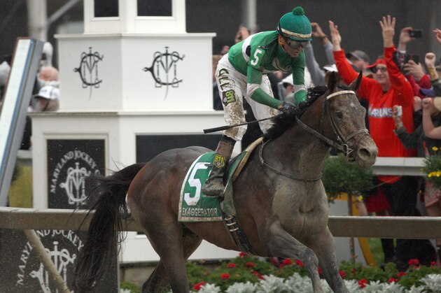 BALTIMORE, MD - MAY 21: Exaggerator with Kent Desormeaux up, wins the Preakness Stakes , on May 21, 2016 at Pimlico Race Course, Baltimore.  (Photo by Horsephotos/Getty Images)