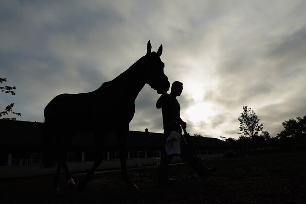 ELMONT, NY - JUNE 02:  Preakness Stakes Champion Exaggerator is walked outside his barn prior to the 148th running of the Belmont Stakes at Belmont Park on June 2, 2016 in Elmont, New York.  (Photo by Al Bello/Getty Images)