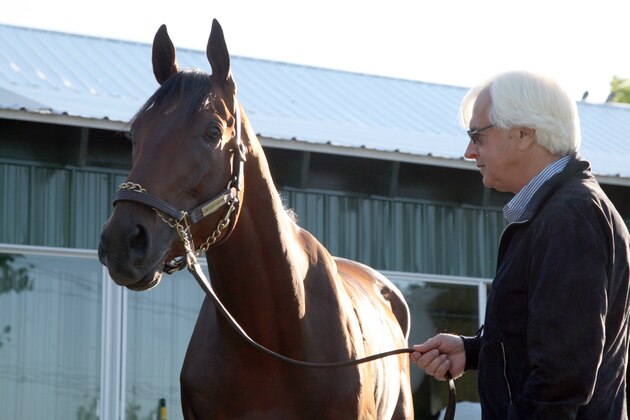 ELMONT, NY - JUNE 7 : American Pharoah with trainer Bob Baffert the morning after his Belmont Stakes/Triple Crown victory at Belmont Park Race Track on June7, 2015 (Photo by Horsephotos/Getty Images)