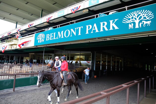ELMONT, NY - JUNE 05:  A horse is led out of the paddock during workouts prior to the 147th Belmont Stakes at Belmont Park on June 5, 2015 in Elmont, New York.  (Photo by Rob Carr/Getty Images)
