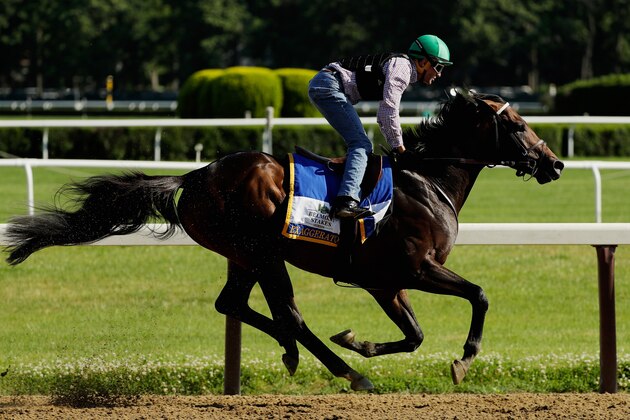 ELMONT, NY - JUNE 07:  Jockey Kent Desormeaux rides Exaggerator during a training session prior to the 148th running of the Belmont Stakes at Belmont Park on June 6, 2016 in Elmont, New York.  (Photo by Al Bello/Getty Images)