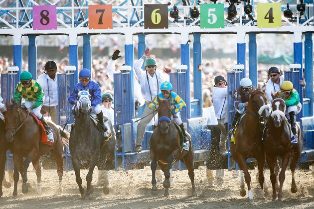 ELMONT, NY - JUNE 06:  The field leaves the starting gate at the beginning of the 147th running of the Belmont Stakes at Belmont Park on June 6, 2015 in Elmont, New York.  (Photo by Rob Carr/Getty Images)