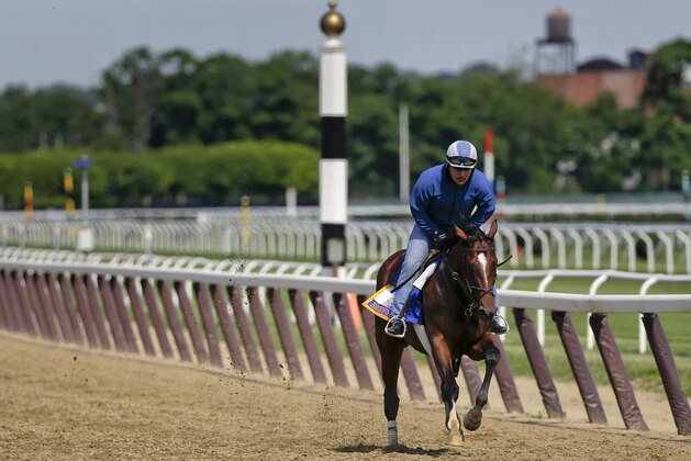Belmont Stakes hopeful Brody's Cause works out at Belmont Park, Wednesday, June 8, 2016, in Elmont, N.Y. Brody's Cause will compete in the 148th running of the Belmont Stakes horse race on Saturday. (AP Photo/Julie Jacobson) (AP Photo/Julie Jacobson)