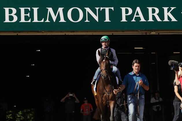 ELMONT, NY - JUNE 07:  Jockey Kent Desormeaux rides Exaggerator onto the track before a training session prior to the 148th running of the Belmont Stakes at Belmont Park on June 6, 2016 in Elmont, New York.  (Photo by Al Bello/Getty Images)