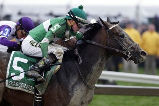 FILE - In this May 21, 2016, file photo, Exaggerator (5), with Kent Desormeaux up, moves past Nyquist, ridden by Mario Gutierrez, on the way to winning the 141st Preakness Stakes horse race at Pimlico Race Course in Baltimore.   Exaggerator has been made the 9-5 favorite in a field of 13 for Saturday's $1.5 million Belmont Stakes (AP Photo/Garry Jones, File)