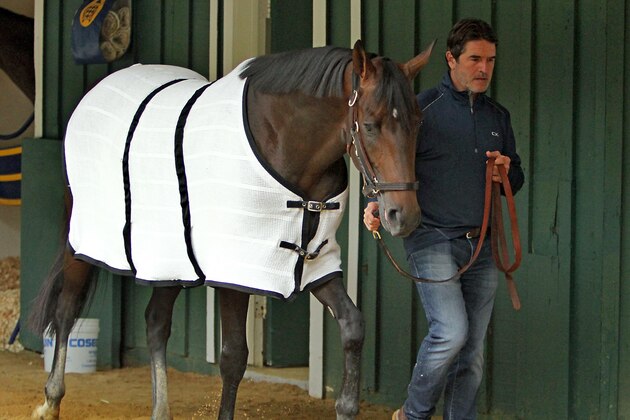 FILE - In this May 18, 2016, file photo, trainer Keith Desormeaux walks Preakness Stakes hopeful Exaggerator in the stakes barn at Pimlico Race Course in Baltimore. Next Saturday there'll be no Triple try. No Kentucky Derby winner, either. And no sellout crowd. Just Preakness winner Exaggerator taking on 3-year-olds he's already beaten and a few others in their first Triple Crown race.  (AP Photo/Garry Jones, File)