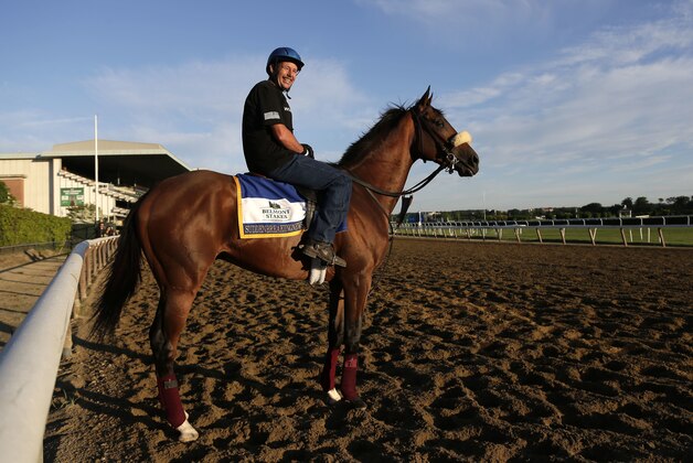 Belmont Stakes hopeful Suddenbreakingnews stands at the edge of the track before working out at Belmont Park, Wednesday, June 8, 2016, in Elmont, N.Y. Suddenbreakingnews will compete in the 148th running of the Belmont Stakes horse race on Saturday. (AP Photo/Julie Jacobson)