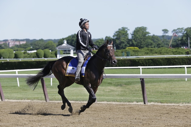 1Belmont Stakes hopeful and Preakness Stakes winner, Exaggerator, with exercise rider Jermal Landry up, at Belmont Park, Friday, June 10, 2016, in Elmont, N.Y. Exaggerator will compete in the 148th running of the Belmont Stakes Horse Race on Saturday. (AP Photo/Peter Morgan) 1Belmont Stakes hopeful and Preakness Stakes winner, Exaggerator, with exercise rider Jermal Landry up, at Belmont Park, Friday, June 10, 2016, in Elmont, N.Y. Exaggerator will compete in the 148th running of the Belmont Stakes Horse Race on Saturday. (AP Photo/Peter Morgan)