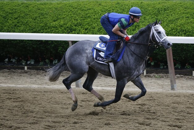 Belmont Stakes entrant Frosted gallops around the track at Belmont Park, Friday, June 5, 2015, in Elmont, N.Y.   (AP Photo/Julie Jacobson)