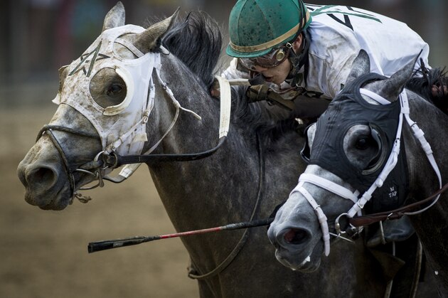 ELMONT NY - JUNE 11:  Creator #13 with Irad Ortiz Jr. wins the Belmont Stakes at Belmont Park on June 11, 2016 in Elmont, New York. (Photo by Alex Evers/Eclipse Sportswire/Getty Images)