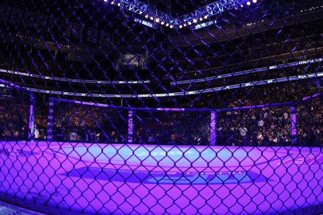 An overall, general view of the Octagon at the Prudential Center at UFC 159 in Newark, NJ, Saturday, April 27,2013.   (AP Photo/Gregory Payan)