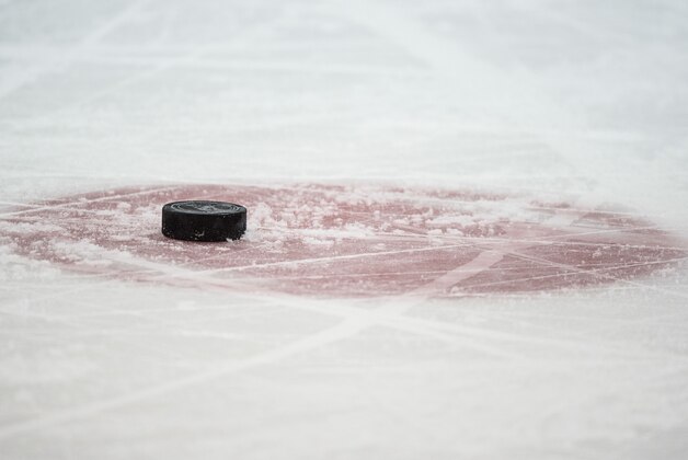 Jan 21, 2016; Dallas, TX, USA; A view of a hockey puck and face-off circle during the game between the Dallas Stars and the Edmonton Oilers at the American Airlines Center. The Stars defeat the Oilers 3-2. Mandatory Credit: Jerome Miron-USA TODAY Sports