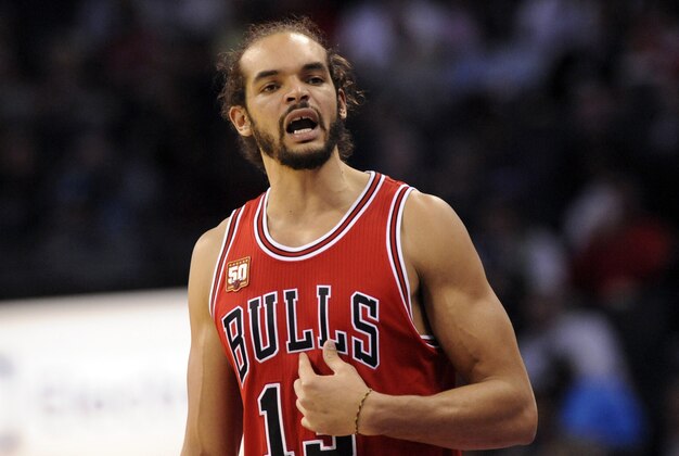 Nov 3, 2015; Charlotte, NC, USA; Chicago Bulls forward center Joakim Noah (13) complains about a foul call against him during the second half of the game against the Charlotte Hornets at Time Warner Cable Arena. Hornets win 130-105. Mandatory Credit: Sam Sharpe-USA TODAY Sports