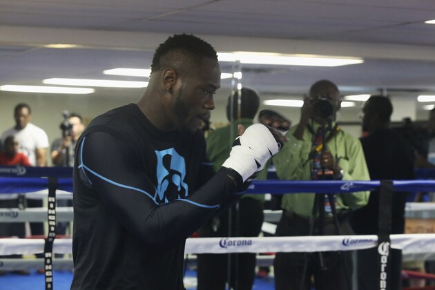 VESTAVIA HILLS, AL - JULY 13:  WBC World Heavyweight Champion Deontay Wilder participates in a media workout at Round 1 Boxing on July 13, 2016 in Vestavia Hills, Alabama.  (Photo by David A. Smith/Getty Images)