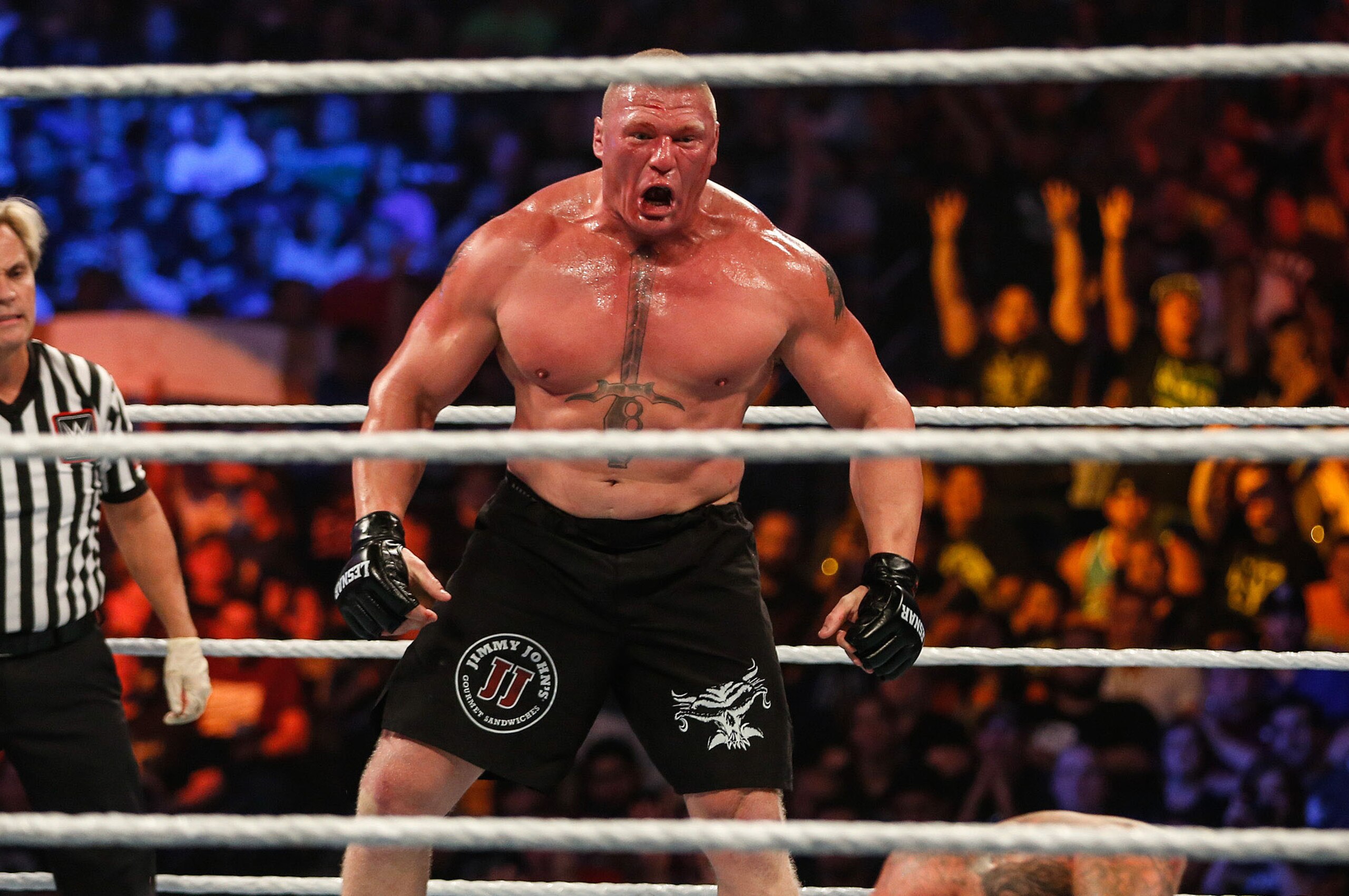 NEW YORK, NY - AUGUST 23: Brock Lesnar and The Undertaker battle it out at the WWE SummerSlam 2015 at Barclays Center of Brooklyn on August 23, 2015 in New York City. (Photo by JP Yim/Getty Images) NEW YORK, NY - AUGUST 23: Brock Lesnar and The Undertaker battle it out at the WWE SummerSlam 2015 at Barclays Center of Brooklyn on August 23, 2015 in New York City. (Photo by JP Yim/Getty Images)