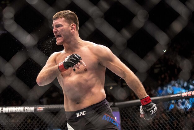 Jan 2, 2016; Las Vegas, NV, USA; Stipe Miocic (red gloves) reacts after defeating Andrei Arlovski (blue gloves) during UFC 195 at MGM Grand Garden Arena. Mandatory Credit: Joshua Dahl-USA TODAY Sports