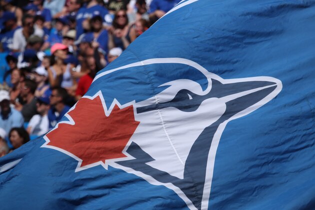 TORONTO, CANADA - JUNE 11: Ace the mascot of the Toronto Blue Jays waves a large Blue Jays flag bearing the team logo during MLB game action against the Baltimore Orioles on June 11, 2016 at Rogers Centre in Toronto, Ontario, Canada. (Photo by Tom Szczerbowski/Getty Images) *** Local Caption ***