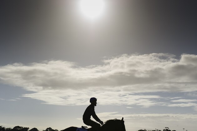 MELBOURNE, AUSTRALIA - OCTOBER 11:  Holler gallops on the course proper during a trackwork session at Werribee Racecourse on October 11, 2016 in Melbourne, Australia.  (Photo by Vince Caligiuri/Getty Images)