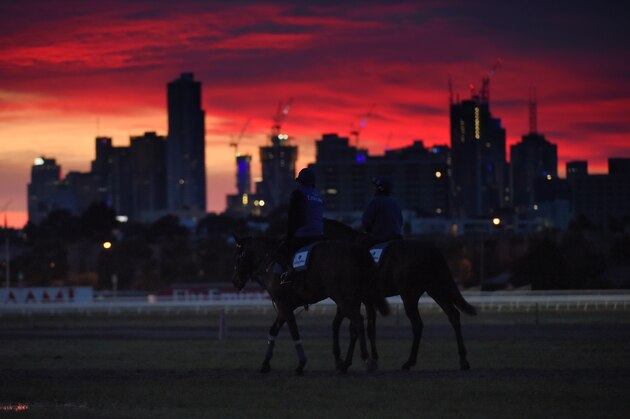 MELBOURNE, AUSTRALIA - OCTOBER 25:  General view of horses heading out for trackwork session on the course proper at Flemington Racecourse on October 25, 2016 in Melbourne, Australia.  (Photo by Vince Caligiuri/Getty Images)