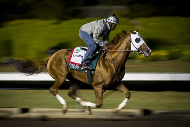CYPRESS, CA - OCTOBER 27: California Chrome, with exercise rider Dihigi Gladney aboard, completes his final preparation for the Breeders' Cup Classic, working 6 furlongs in 1:12 1/5 seconds at Los Alamitos Race Track on October 27, 2016 in Cypress, California. (Photo by Alex Evers/Eclipse Sportswire/Getty Images)