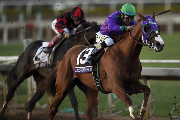 November 1, 2014; Santa Anita , CA, USA; Victor Espinoza aboard California Chrome sprints to the finish in race twelve during the 2014 Breeders Cup Championships at Santa Anita Park. California Chrome would finish second Mandatory Credit: Kelvin Kuo-USA TODAY Sports