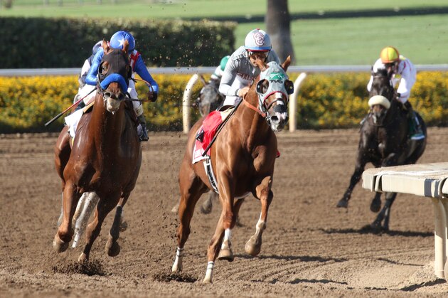 ARCADIA, CA  OCTOBER 1: California Chrome #1 ridden by Victor Espinoza leads Dortmund #2 ridden by Rafael Bejarano into the stretch of the Awesome Again Stakes (Grade 1) Breeders' Cup 'Win and You're In Classic Division' at Santa Anita Park, Arcadia, CA (Photo by Casey Phillips/Eclipse Sportswire/Getty Images)