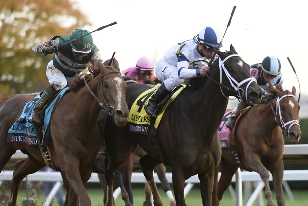 Oct 30, 2015; Lexington, KY, USA; (Editors note: Caption correction) Victor Espinoza aboard Stellar Wind races alongside Javier Castellano aboard Stopchargingmaria in race nine of the 2015 Breeders Cup Championships at Keeneland. Mandatory Credit: Richard Mackson-USA TODAY Sports